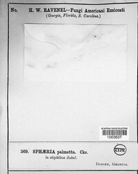 Image Associated With the Occurence
